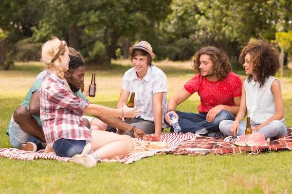 Happy friends in the park having picnic — Stock Photo, Image