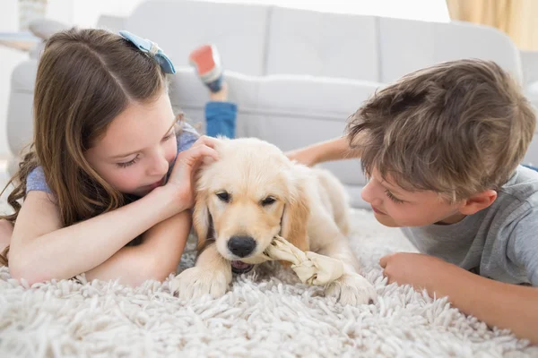 Братья и сестры играют с собакой на ковре — стоковое фото
