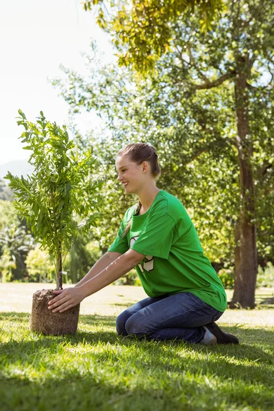 Environmental activist about to plant tree — Stock Photo, Image