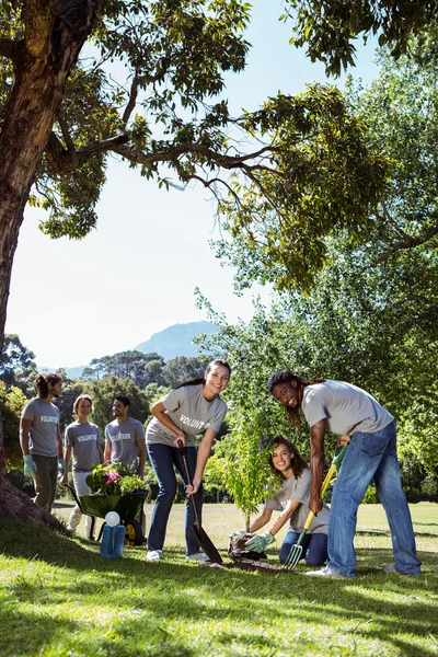 Ryhmä vapaaehtoisia puutarhanhoito yhdessä — kuvapankkivalokuva