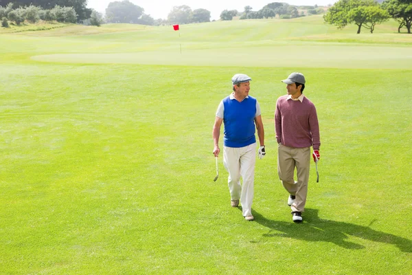 Přátelé z golfu chůzi a chatování — Stock fotografie