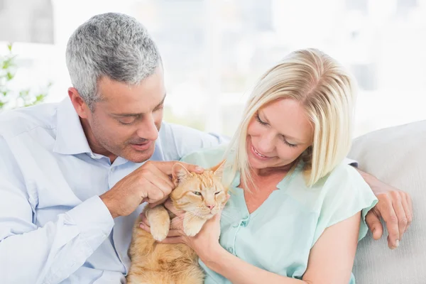 Coppia che gioca con il gatto in salotto — Foto Stock