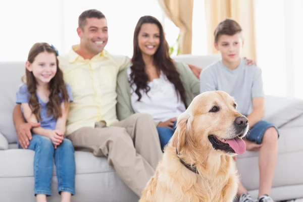 Famille et chien regardant la télévision ensemble — Photo