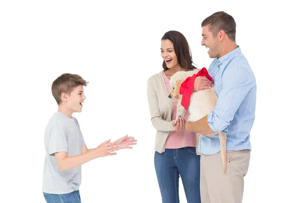 Parents gifting puppy to boy — Stock Photo, Image