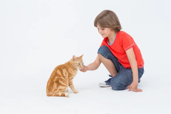 Bonito menino tocando gato — Fotografia de Stock