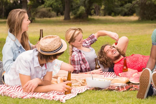 Amigos felizes no parque fazendo piquenique — Fotografia de Stock
