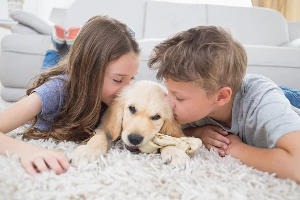Siblings kissing puppy on rug — Stock Photo, Image