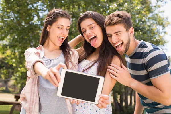 Happy přátelé v parku s selfie — Stock fotografie