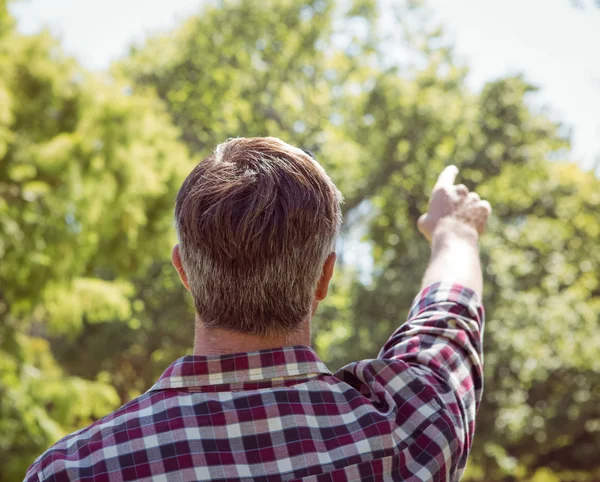 Casual man pointing in the park — Stock Photo, Image