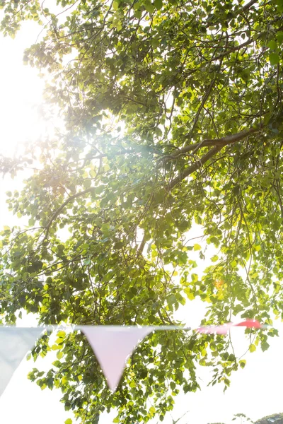 Low angle view of trees at festival — Stock Photo, Image