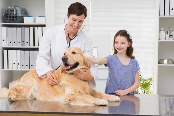 Veterinaria examinando a un perro con su dueño —  Fotos de Stock