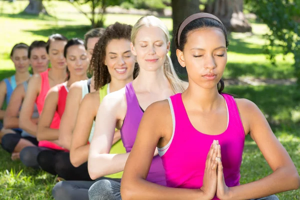 Fitness gruppe laver yoga i parken - Stock-foto