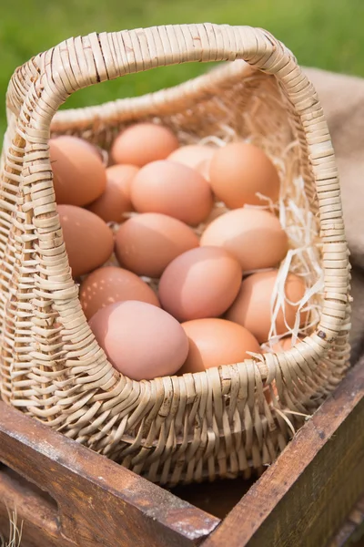 Mandje met verse biologische eieren — Stockfoto