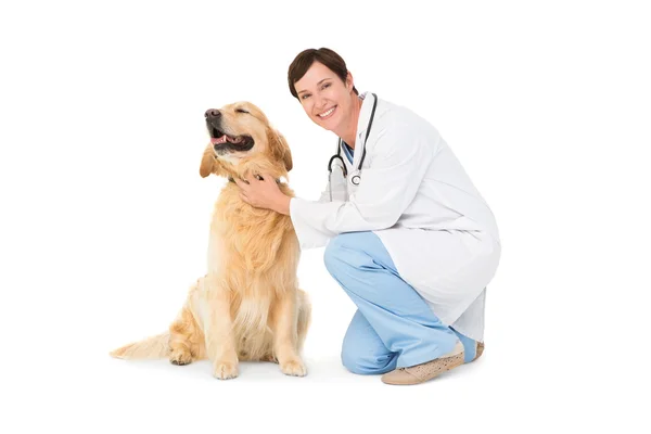 Κτηνίατρος σκύψιμο με έναs σκύλοs — Φωτογραφία Αρχείου