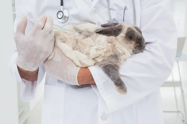 Veterinário que faz a injeção em um coelho — Fotografia de Stock