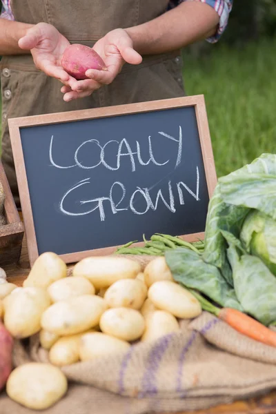 Farmer selling organic veg at market — Stock Photo, Image