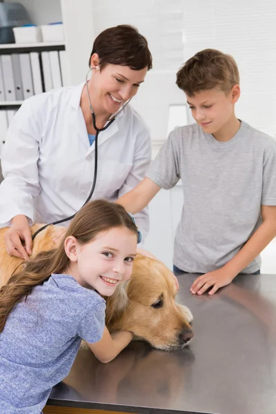 Tierarzt untersucht Hund mit seinen Besitzern — Stockfoto