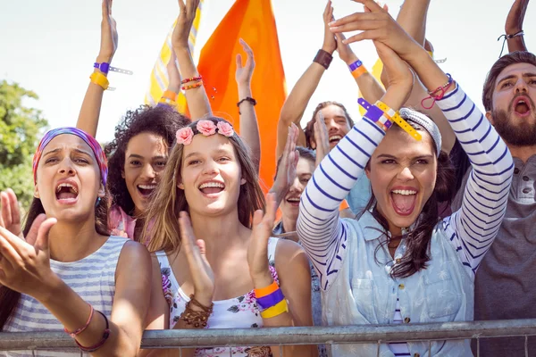 Excited music fans up the front — Stock Photo, Image