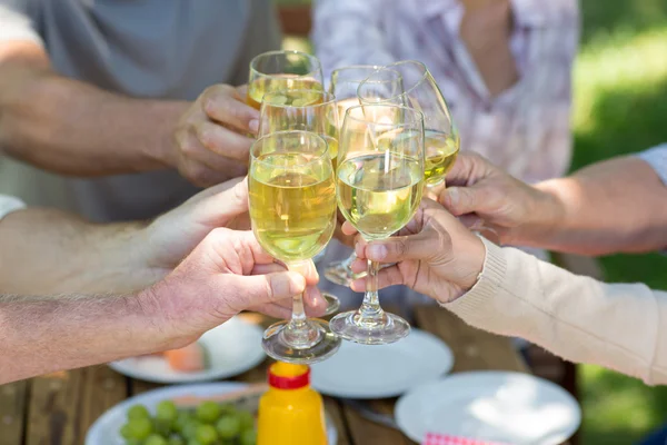 Feliz brindis familiar en el parque —  Fotos de Stock