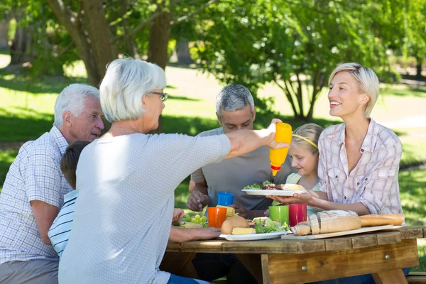 Familia haciendo picnic en el parque —  Fotos de Stock