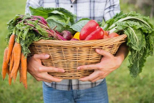 Stilig bonde med korg av veg — Stockfoto