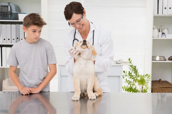 Veterinário sorrindo examinando um cão com seu dono — Fotografia de Stock