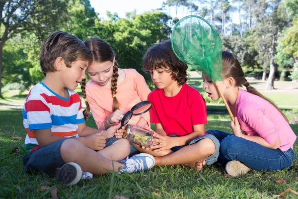 Piccoli amici felici che guardano vaso — Foto Stock