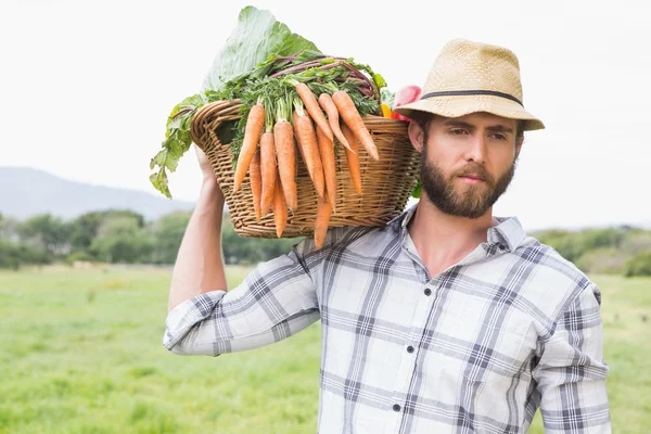 Yakışıklı bir çiftçi ile sebze sepeti — Stok fotoğraf