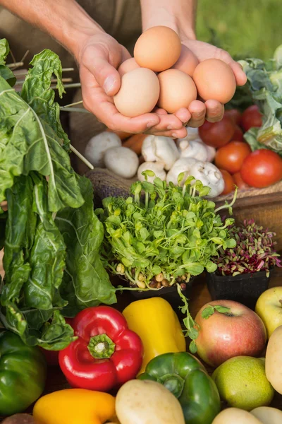 Agricultor mostrando sus huevos orgánicos — Foto de Stock