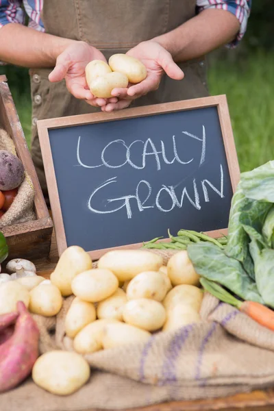 Farmer selling organic veg at market — Stock Photo, Image