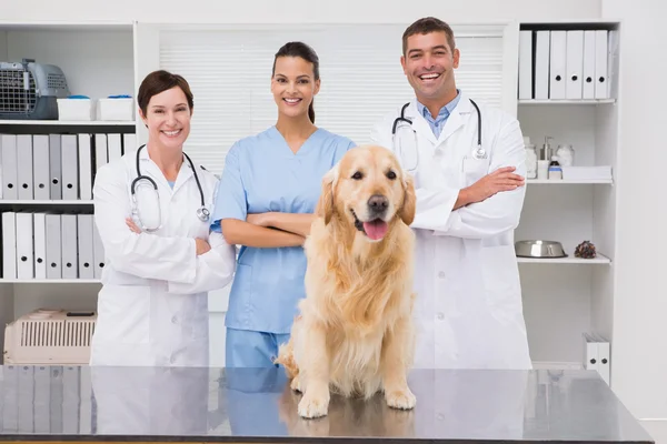 Vétérinaire collègue souriant à la caméra avec chien — Photo