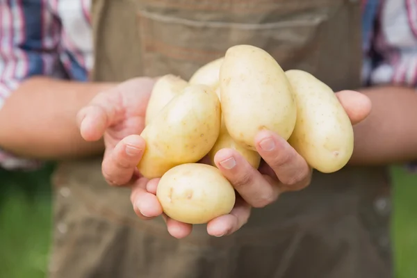 Jordbrukaren säljer ekologiska grönsaker på marknaden — Stockfoto