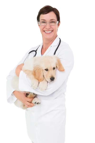 Veterinario sorridente con cane in braccio — Foto Stock