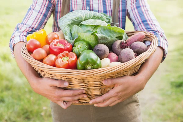 Farmer carrying basket of veg — Stock Photo, Image