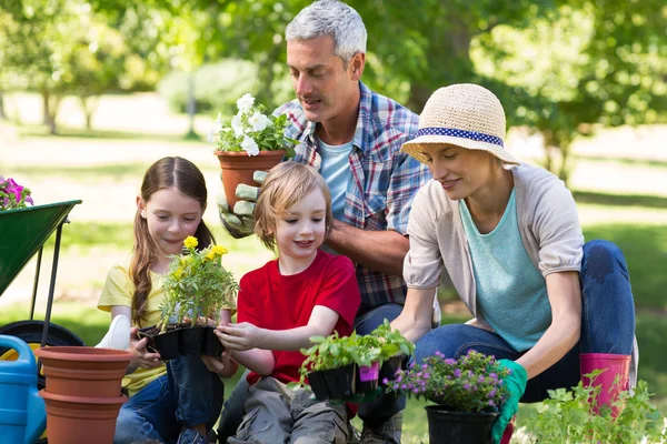 Giardinaggio di famiglia felice — Foto Stock