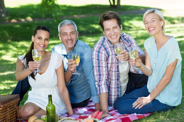 Happy couples toasting at the park — Stock Photo, Image