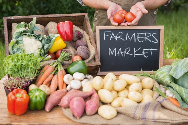 Agricultor que vende vegetais orgânicos no mercado — Fotografia de Stock