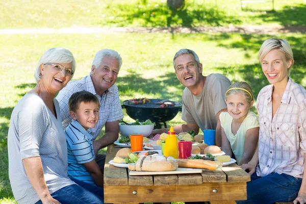 Famiglia che fa picnic nel parco — Foto Stock