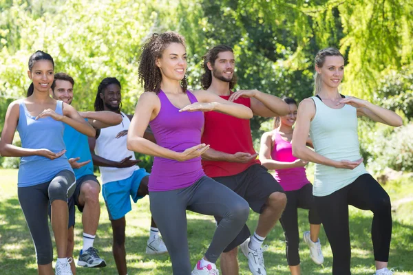 Groupe de fitness faisant du tai chi dans le parc — Photo