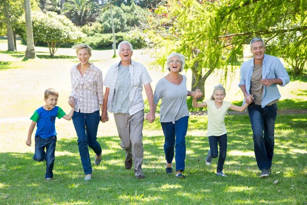 Famiglia felice che corre nel parco — Foto Stock