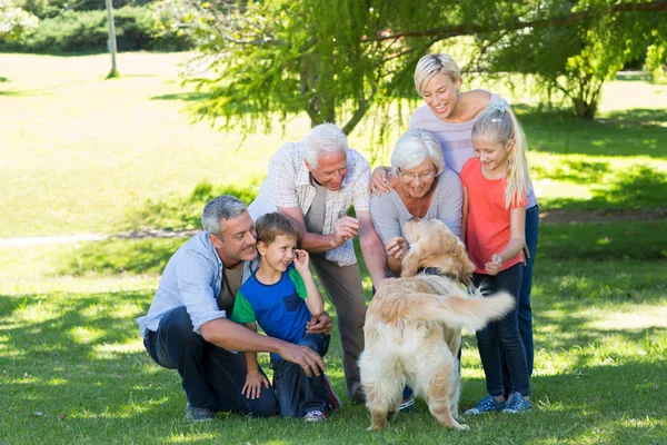 Familia feliz jugando con su perro — Foto de Stock