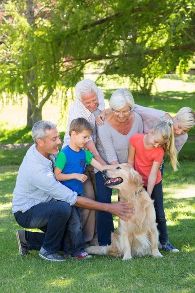 Happy family petting their dog — Stock Photo, Image
