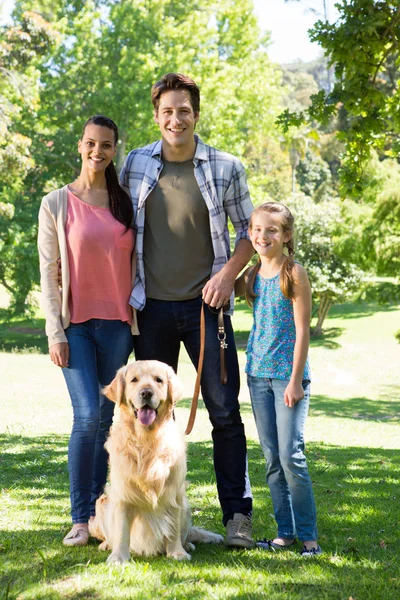 Familia feliz paseando a su perro en el parque — Foto de Stock