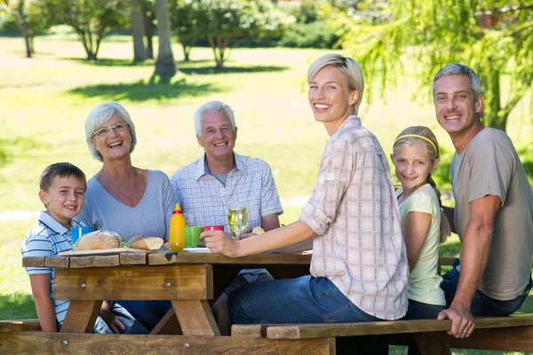 Lycklig familj som har picknick i parken — Stockfoto