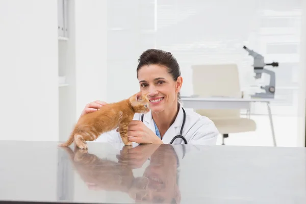 Veterinarian examining cat — Stock Photo, Image