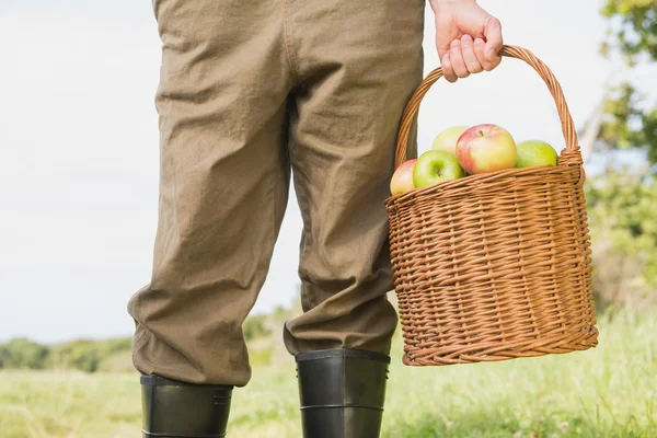 Farmer holding basket of apples — Stock Photo, Image
