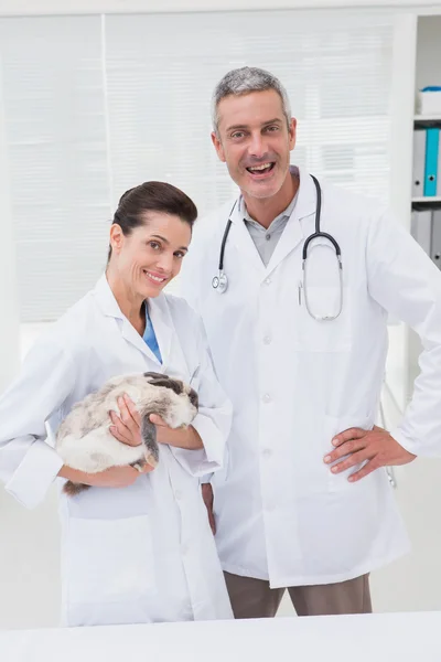 Veterinarios sonrientes sosteniendo gato — Foto de Stock