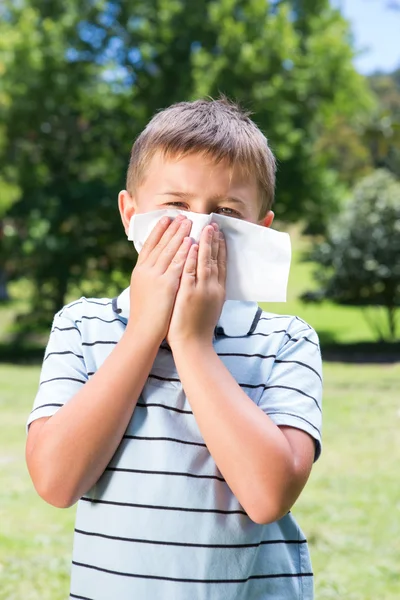 Little boy blowing his nose — Stock Photo, Image