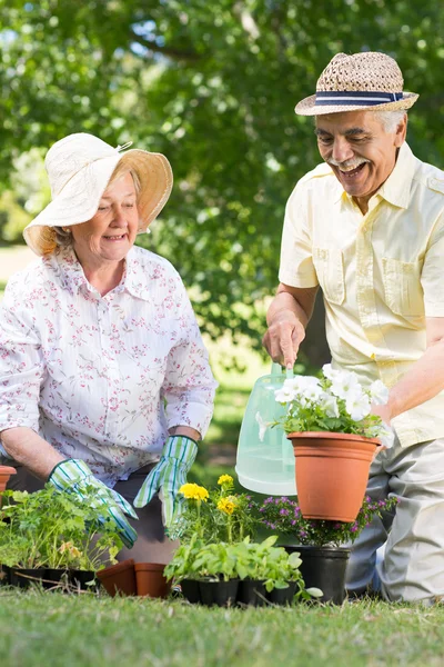 Feliz pareja de ancianos jardinería — Foto de Stock
