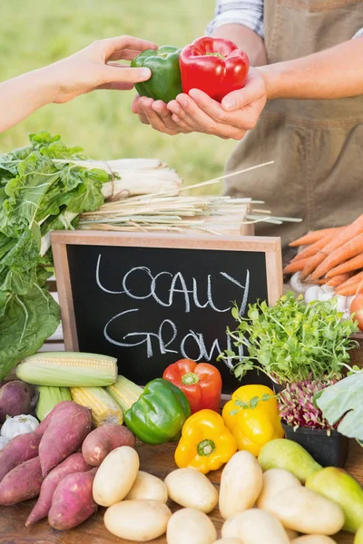 Vrouw verkopen organische paprika 's — Stockfoto